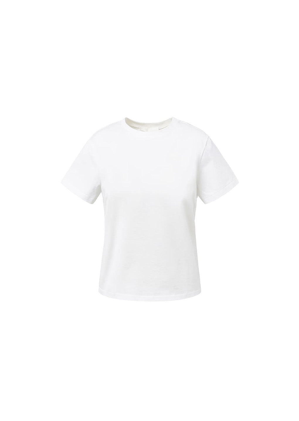 basic t-shirts, white