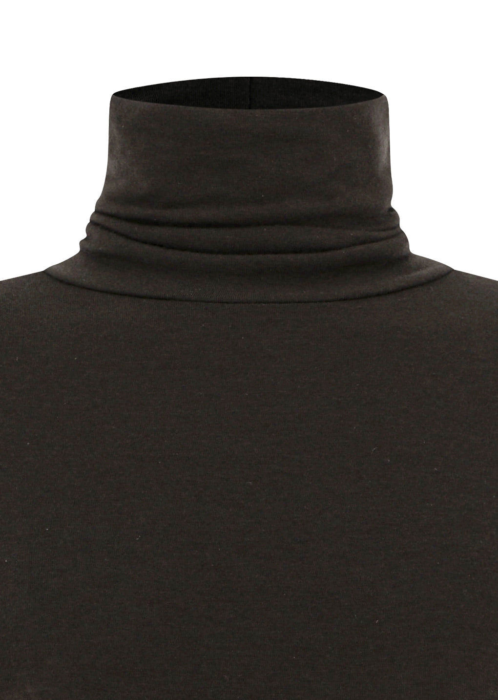 turtle t-shirt, brown