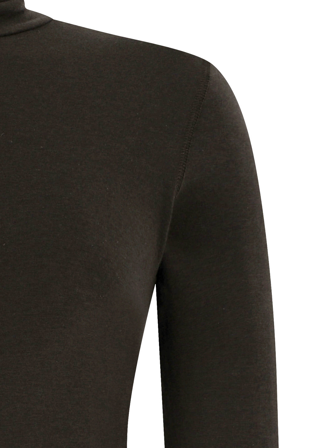 turtle t-shirt, brown