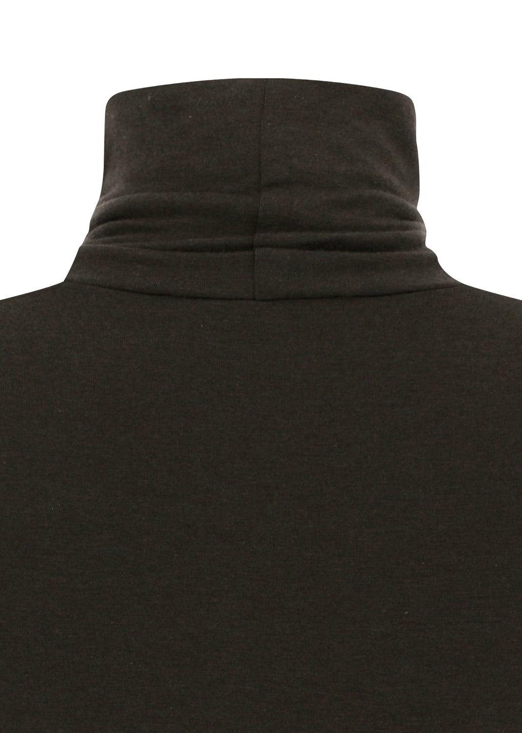 turtle t-shirt, brown